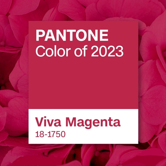 NWT 3PC SET LuLaRoe S Top, CP S Duster, CP Tween - OS 4 Lace Pink Roses Leggings - Picture 4 of 15